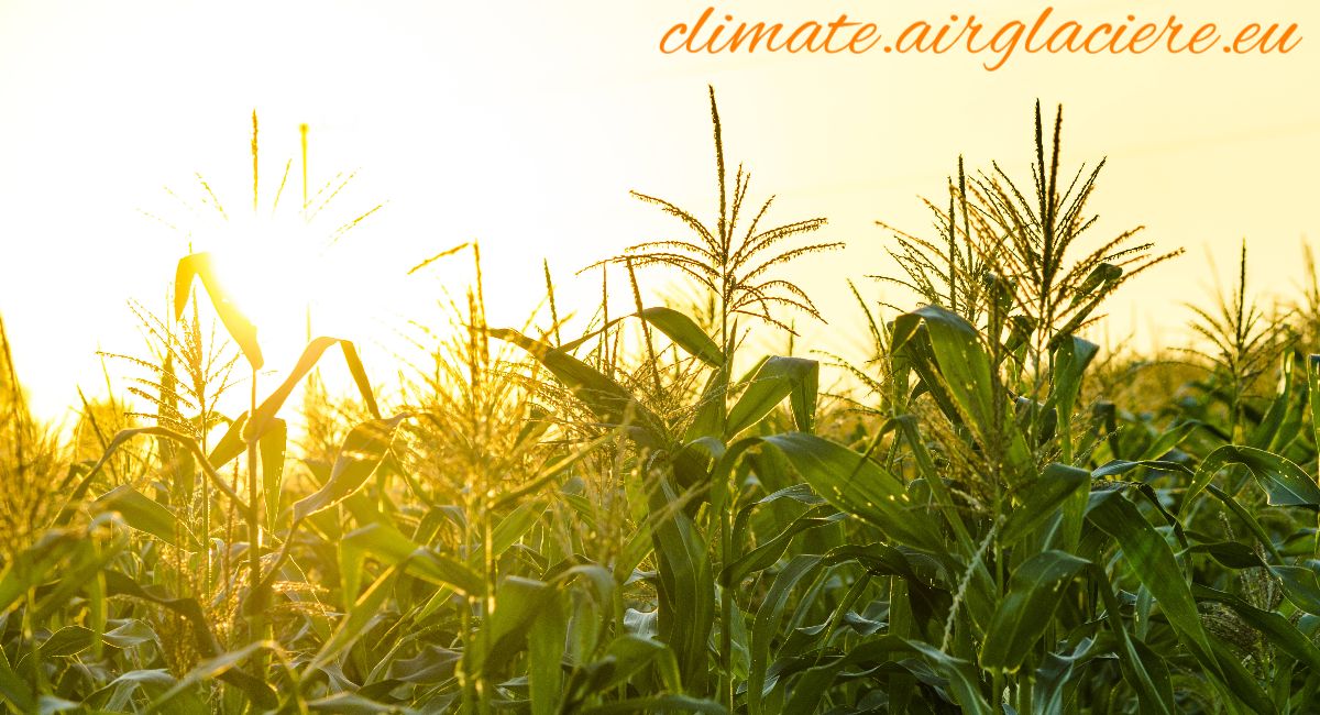 climate.airglaciere.eu